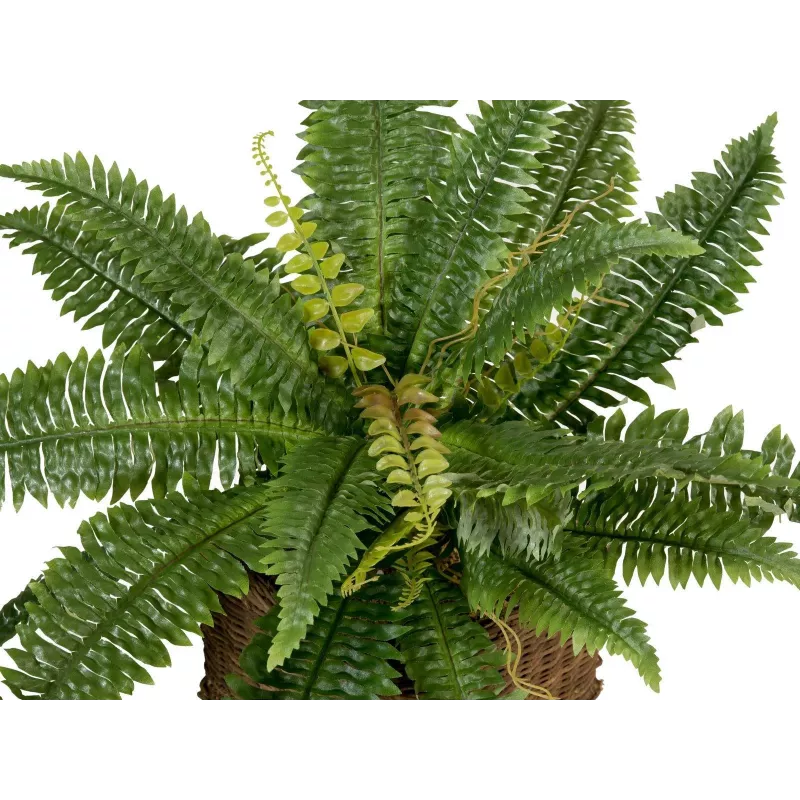 EUROPALMS Boston Farn umelá rastlina, 53cm, zelená 82519934