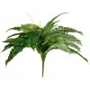EUROPALMS Boston Farn umelá rastlina, 53cm, zelená 82519934