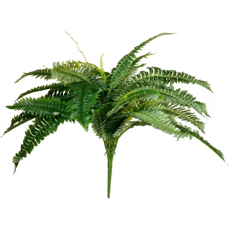 EUROPALMS Boston Farn umelá rastlina, 53cm, zelená 82519934