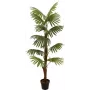 EUROPALMS vejárová palma umelá rastlina, 155cm 82509303