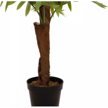 EUROPALMS vejárová palma umelá rastlina, 155cm 82509303