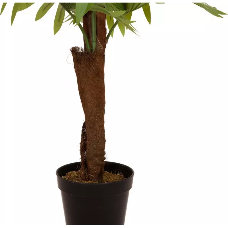 EUROPALMS vejárová palma umelá rastlina, 155cm 82509303