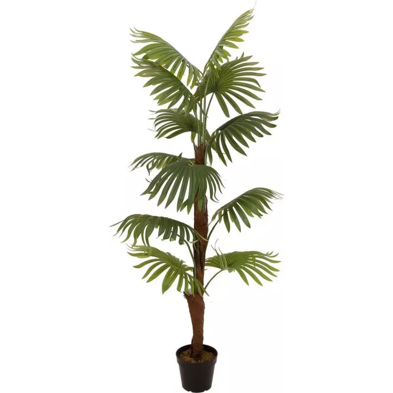 EUROPALMS vejárová palma umelá rastlina, 155cm 82509303