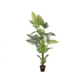EUROPALMS areka palma umelá rastlina 180cm 82509415