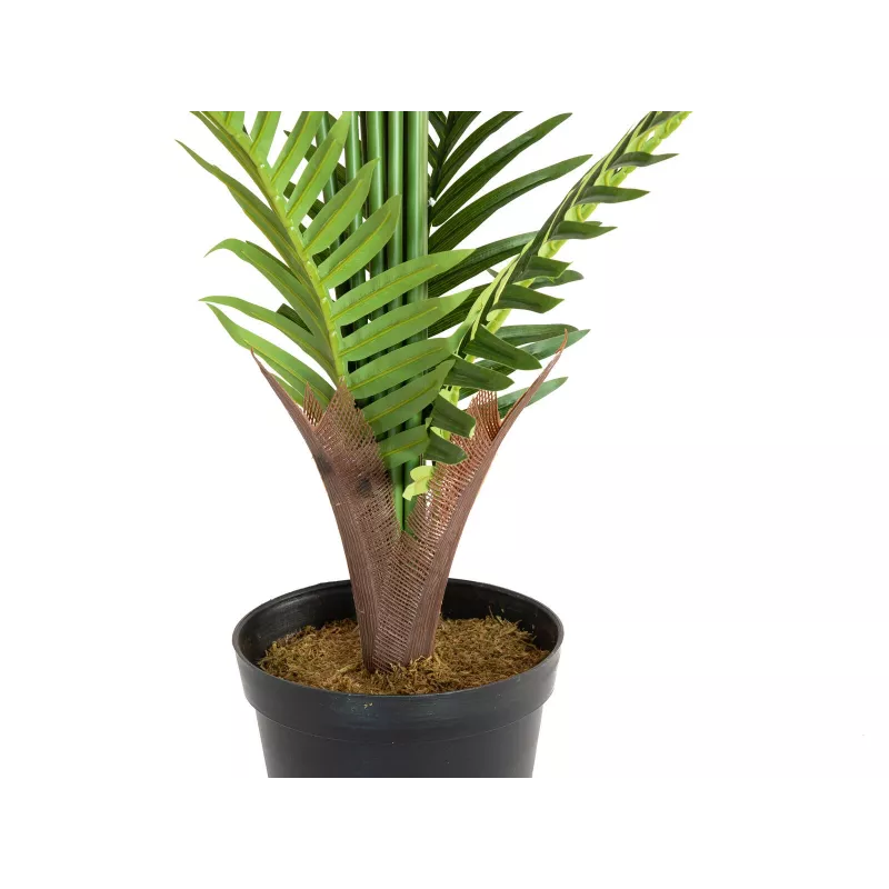 EUROPALMS areka palma umelá rastlina 180cm 82509415