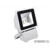 SYNERGY21 S21-LED-TOM01157 LED vonkajší objektový reflektor 80W sivé puzdro studená biela V3