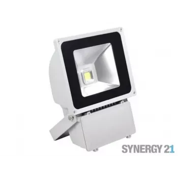 SYNERGY21 S21-LED-TOM01157 LED vonkajší objektový reflektor 80W sivé puzdro studená biela V3