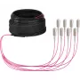 EFB Elektronik Trunk kábel U-DQ ZN BH OM4 8G 1x8 SC-SC 30m Dca LSZH O8321S30OM4