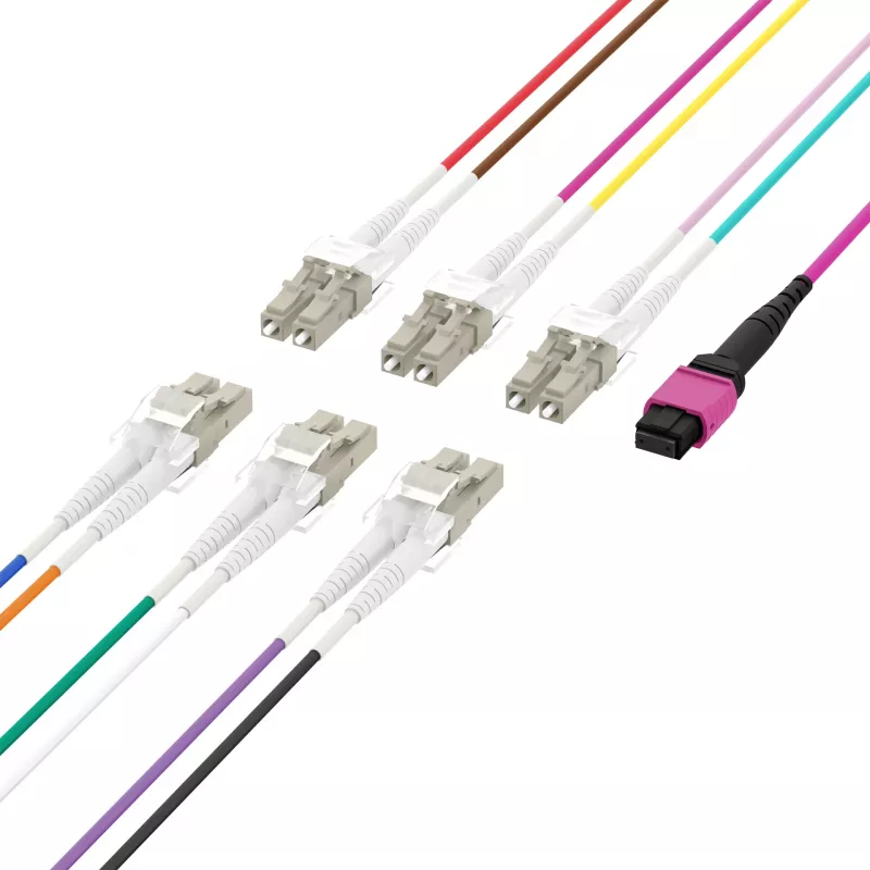 MPO-PLUS (F) na LC trunk kábel OM4 12 vlákien typ B LSZH Erika Violett 2m MPOF12LCOM4-2