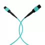 EFB Elektronik MPO-PLUS konektor samica na MPO-PLUS konektor samica OM3 12-vláknový typ B LSZH aqua patch kábel, 10 m MPOF12MPOFOM3-10