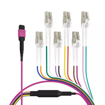 EFB Elektronik MPO-PLUS (F) na LC trunk kábel, OM4, 12 vlákien, Typ B, LSZH, Erika Violet, 1m MPOF12LCOM4-1