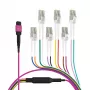 EFB Elektronik MPO-PLUS (F) na LC trunk kábel, OM4, 12 vlákien, Typ B, LSZH, Erika Violet, 1m MPOF12LCOM4-1