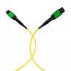 EFB Elektronik MPOF12MPOFOS2-3 MPO-PLUS/APC(F) na MPO-PLUS/APC(F) OS2 Singlemode 12-vláknový Typ B LSZH patch kábel, 3m, žltá