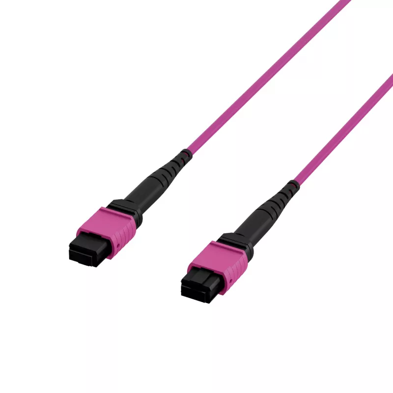 EFB Elektronik MPO-PLUS(F)-MPO-PLUS(F) patch kábel OM4 8 vlákien Typ B LSZH Erika Violett 1m MPOF8MPOFOM4-1