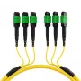 EFB MTPF48MTPFOS2-25-A OS2 Singlemode 48-vláknový MTP APC patch kábel, 25 m, žltý