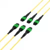 EFB MTPF48MTPFOS2-25-A OS2 Singlemode 48-vláknový MTP APC patch kábel, 25 m, žltý