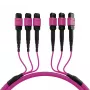 EFB Elektronik MTP-F/MTP-F 48-vláknový Matrix patch kábel OM4, LSZH Erika fialový, kód A, 25m MTPF48MTPFOM4-25-A