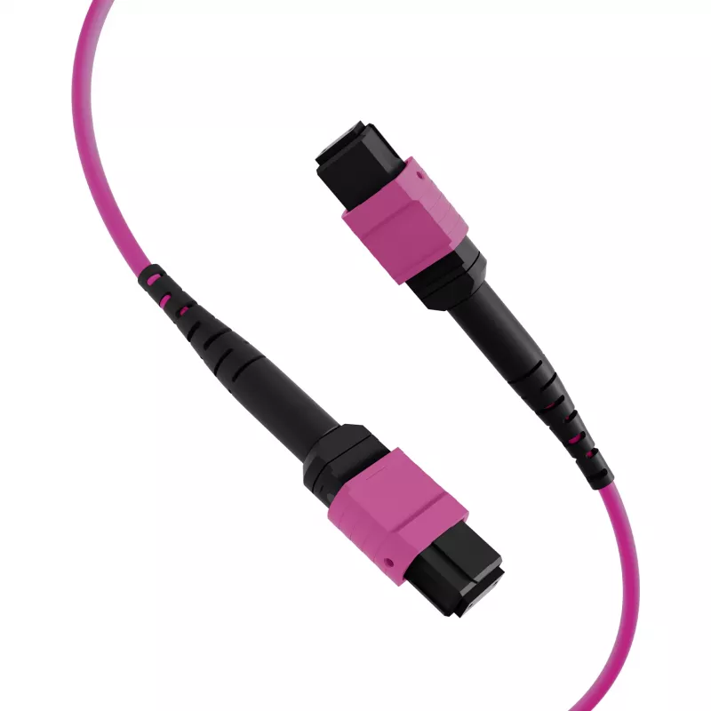 EFB Elektronik MTP-F/MTP-F 48-vláknový Matrix patch kábel OM4, LSZH Erika fialový, kód A, 25m MTPF48MTPFOM4-25-A