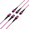 EFB Elektronik MTP-F/MTP-F 48-vláknový Matrix patch kábel OM4, LSZH Erika fialový, kód A, 25m MTPF48MTPFOM4-25-A