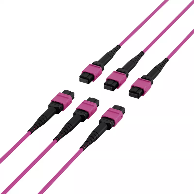 EFB Elektronik MTP-F/MTP-F 48-vláknový Matrix patch kábel OM4, LSZH Erika fialový, kód A, 25m MTPF48MTPFOM4-25-A