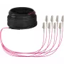 EFB Elektronik U-DQ ZN BH OM4 8G 1x8 LC-LC 10m Dca LSZH trunk kábel O8322S10OM4