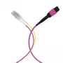 EFB Elektronik MPOF08LCOM4-10 MPO-PLUS (F) na LC trunk kábel, OM4, 8 vlákien, typ B, LSZH, Erika-fialová, 10 m