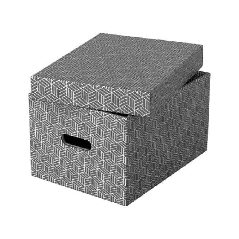 Esselte Home Úložný box M, 17,5 L, 26,5 x 36,5 x 20,5 cm, balenie 3 ks, biela/sivá (628283)