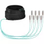 EFB Elektronik trunk kábel U-DQ ZN BH OM3 8G 1x8 SC-SC 30m Dca LSZH - 30 m O8321S30OM3