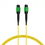 EFB Elektronik MPOF12MPOFOS2-2 MPO-PLUS APC konektor samica na MPO-PLUS APC konektor samica OS2 single-mode 12-vláknový typ B LSZH žltý patch kábel, 2 m
