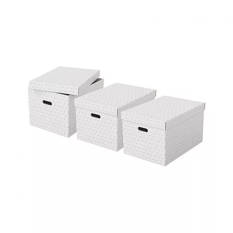 Esselte Home Úložný box L, sada 3 ks, biela, 628286