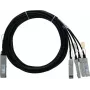 BlueLAN 2m 40G QSFP na 4x 10G SFP+ pasívny priamy breakout kábel, kompatibilný s Centec (CAB-Q-S-2M-CT-BL)