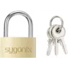 Sygonix SY-5045288 Mosadzná visiaca zámka 29,8 mm rovnaký kľúč? Nie, rôzne kľúče zlato-žltá