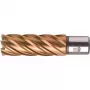 BDS HSSVarioPLUS jadrový vrták 22,0 mm hĺbka rezu 55 mm Weldon stopka KBL-VP022