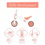 Chillafish Bunzi 2-in-1 odrážadlo a trojkolka, Flamingo Pink, 1-3 roky