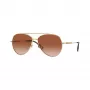 Burberry BE3147-110913 dámske slnečné okuliare cat-eye, bledozlatý rám, hnedé gradientové sklá, 58 mm