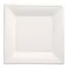 PAPSTAR pure štvorcové taniere z cukrovej trstiny 260 x 260 mm, balenie 12 ks, kompostovateľné, vhodné do mikrovlnnej rúry 89755
