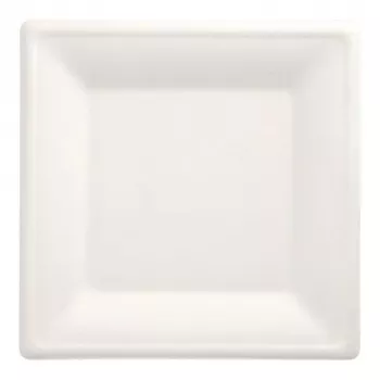 PAPSTAR pure štvorcové taniere z cukrovej trstiny 260 x 260 mm, balenie 12 ks, kompostovateľné, vhodné do mikrovlnnej rúry 89755
