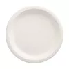 PAPSTAR pure cukrová trstina tanier okrúhly 230 mm 12 ks balenie kompostovateľný vhodný do mikrovlnnej rúry 89748