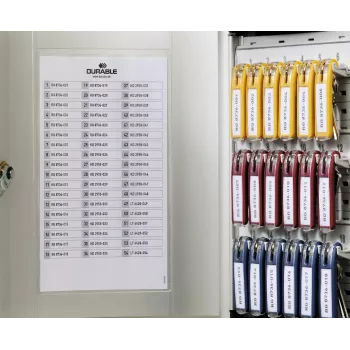 DURABLE KEY BOX 18 kľúčová skrinka s cylindrickým zámkom, svetlosivá 195123