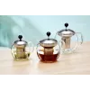 Ritzenhoff & Breker ENJOY sklenená kanvica na čaj 700 ml s nerezovým sitkom 820782