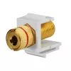 Rutenbeck Keystone reproduktorový pripojovací adaptér KMK-LS, skrutkové svorky, čierna/červená, bez nástroja 17000608