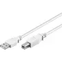 Wentronic 96186 USB 2.0 kábel, USB-A konektor samec na USB-B konektor samec, 1,8 m, biely