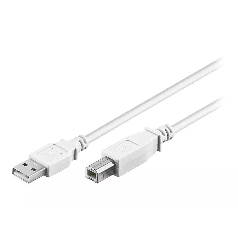 Wentronic 96186 USB 2.0 kábel, USB-A konektor samec na USB-B konektor samec, 1,8 m, biely