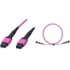 LogiLink FM7LC05 MPO patch kábel, 12 vlákien, multimode OM4 50/125 µm, MPO/PC B/B, typ B, 5 m