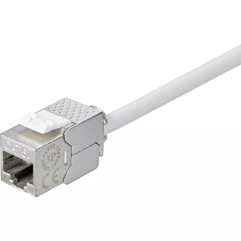 Renkforce RF-4531196 RJ45 spojka Cat.6a tienená strieborná