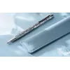 Caran d'Ache Ecridor Alpine Frost guľôčkové pero a mikrotužka set, čierna náplň, Medium, platinované CC0890.025