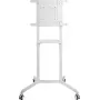 PureLink PureMounts mobilný TV stojan, biely (PM-CART-80W)
