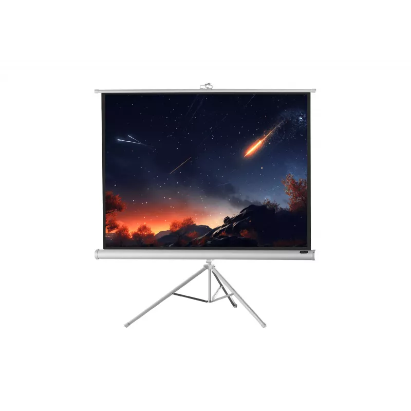 celexon Economy statívové plátno 133 x 133 cm White Edition
