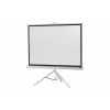 celexon Economy statívové plátno 133 x 133 cm White Edition