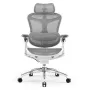 Sihoo DORO C300 Pro ergonomická sieťovaná kancelárska stolička biela